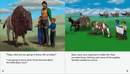 Mama Shares About and Papa Shares About Métis series. (Set of 10 books)