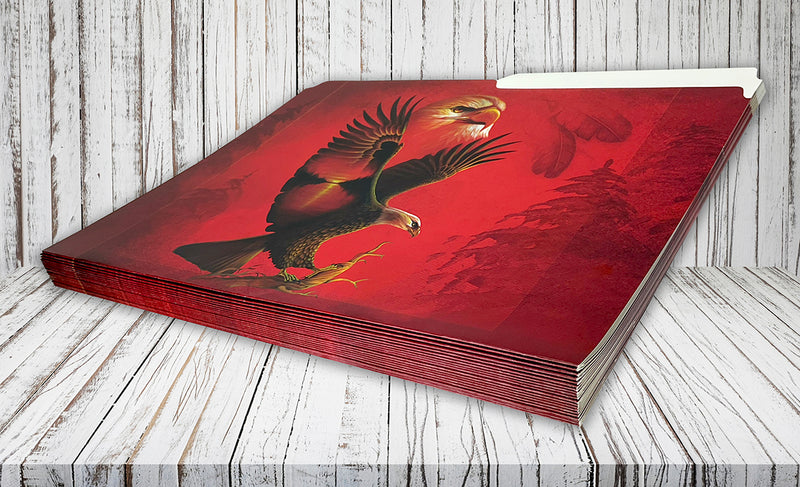 20-Pack File Folders (Eagle)