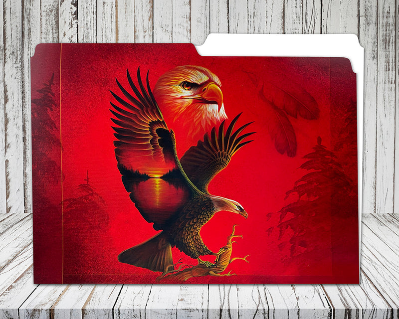 20-Pack File Folders (Eagle)