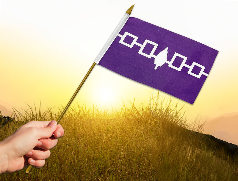 Iroquois Flag (Small)