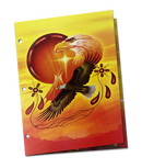 Presentation Folder Pack (10) - Yellow Eagle