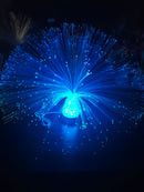 Fibre Optic Sensory Light (ETA Feb 20/26)