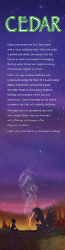 Four Sacred Medicines Canvas Prints Set