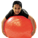 Inflatable Therapy Ball