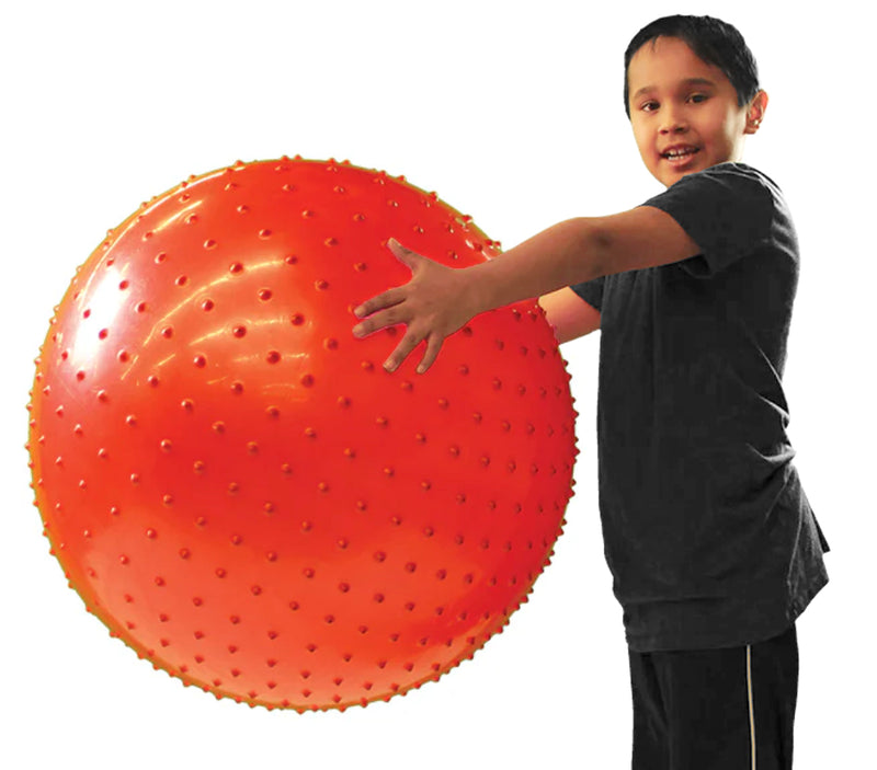 Inflatable Therapy Ball