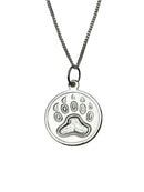 Medicine Tracker Pendant and Silver Chain