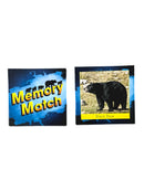 Memory Game (Bear)