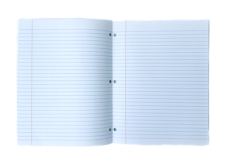 Non-spiral Scribbler (Whales)