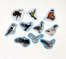 Progressive Learning Floor Puzzle - The Winged-Ones (ETA Fall 2026)
