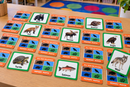 Memory Game - All Our Relations (Photos) (ETA Fall 2026)