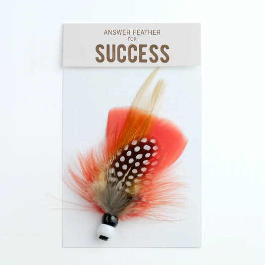 Answer Feather for Success