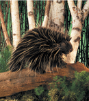 Puppet (Porcupine)