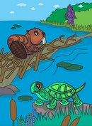 48 Piece Puzzle (Beaver/Turtle) (ETA Summer 2026)