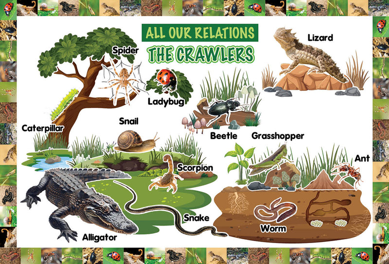 All Our Relations-The Crawlers Bulletin Board Set (ETA August 30)