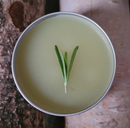 Backwoods Soothing Salve