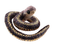 Finger Puppet (Snake)