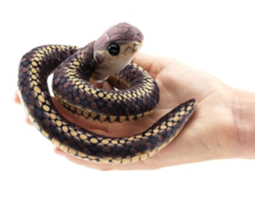 Finger Puppet (Snake)