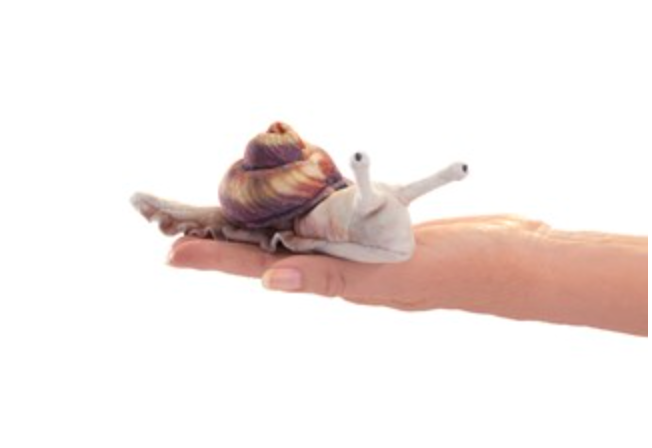 Finger Puppet (Snail)