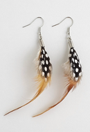 Feather Earrings (Red Hackle/Spotted)