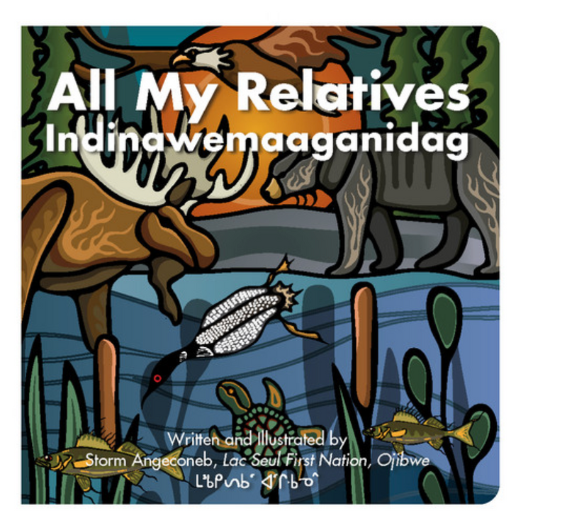 Board Book - All My Relatives (Indinawemaaganidag)