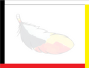 Certificates (4 Colours/Feather)