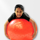 Inflatable Therapy Ball