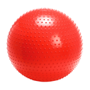 Inflatable Therapy Ball