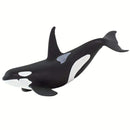 Killer Whale (Limited Quantity)