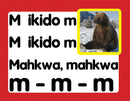 Chant Cards (Ojibwe)