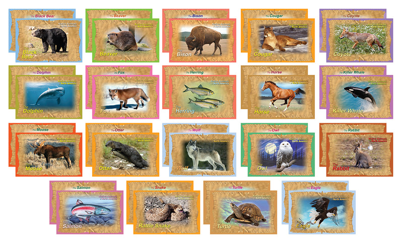 Educational Card Set - Animals