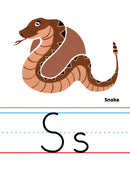 Manuscript Alphabet Line (Zane Bloser Font) (ETA April 1st)