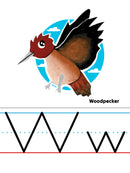 Manuscript Alphabet Line (Zane Bloser Font) (ETA April 1st)