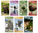 Trading Cards - Seven Teachings (Photos)