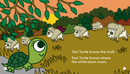Tani Turtle and The Seven Teachings