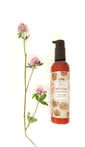 Red Clover Lotion