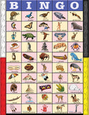 Classroom Ojibwe Bingo