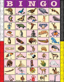 Classroom Bingo - French