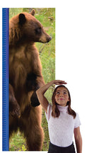 Growth Chart (Bear)