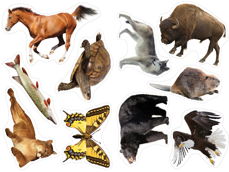 Animals Decoration Pack