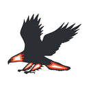 Classroom Decorations - Eagle