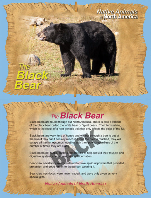 Educational Cards - Native Animals Of North America