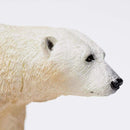 Polar Bear (Limited Quantity)