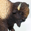 Bison (Limited Quantity)