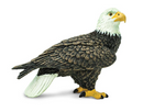 Bald Eagle (Limited Quantity)