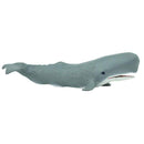 Sperm Whale (Limited Quantity)
