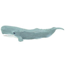 Sperm Whale (Limited Quantity)