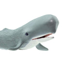 Sperm Whale (Limited Quantity)