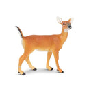 White-tailed Doe (Limited Quantity)