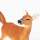 White-tailed Doe (Limited Quantity)