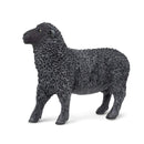 Black Sheep (Limited Quantity)